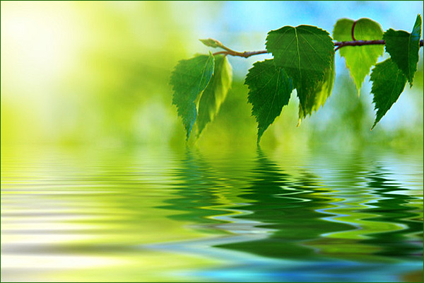 naturopahie